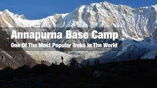 Why Annapurna Base Camp Is One Of The Most Popular Treks In The World | Indiahikes