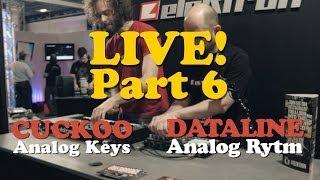 Analog Rytm + Keys LIVE = Dataline Cuckoo 6:8