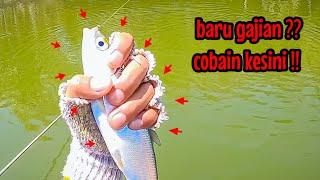 YANG HABIS GAJIAN COBALAH MANCING KESINI‼️|| mancing ikan bandeng di waduk karangkates