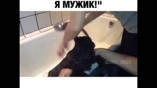 Кот говорит ,,Я БЫК, Я МУЖИК!,,