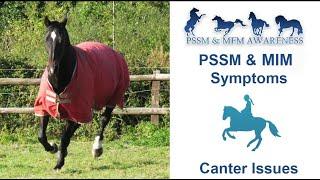 PSSM & MIM Symptoms- Canter Issues