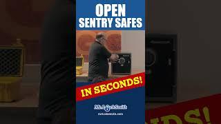 Open Sentry Safes in Seconds Rare Earth Magnet | Mr. Locksmith™