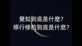 【Lunate's Talk】覺知到底是什麽意思修行到底要修什麽？為什麽產生覺知對修行如此重要？-Lunate夜隱露娜特