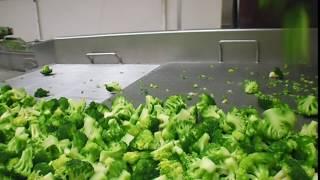 NOVA's IQF Broccoli Process