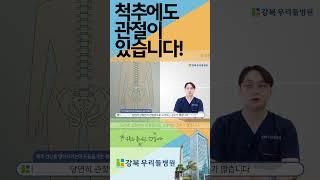 #척추 도 #관절 이 있어요!
