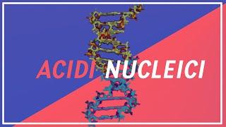 Biomolecole: Gli ACIDI NUCLEICI | PIllole di Scienza