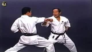 SHOTOKAN karate - The Nakayama - Heian Sandan Kata and Bunkai (Каратэ Шотокан Накаямы)