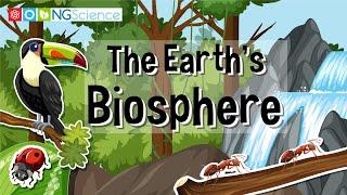 The Earth's Biosphere