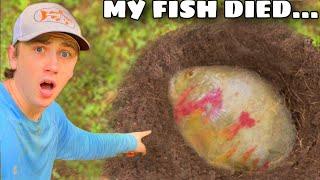 My Favorite Fish Died…