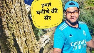 पैरों में कांटा चुभ गया  || Uttarakhand lifestyle vlog || Akki Ke Vlogs