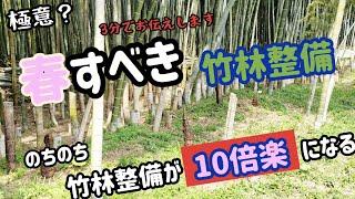 【3分でわかる。春すべき竹林整備】これをするとしないでは全然違う。 極意？(゜ロ゜)