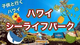 【ハワイ観光】オアフ島ワイマナロ地区に位置するシーライフパークで遊び倒す１日‼️