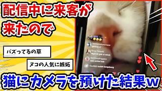 【2ch動物スレ】配信中に離席することになったのでヌコにカメラを渡した→その結果www