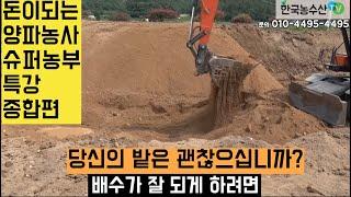 [한국농수산TV] 돈이되는 양파농사 슈퍼농부 특강 - 종합편