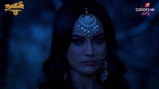 Naagini S3 | நாகினி S3 | Ep 178 | 07 March 2025