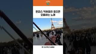원피스 음악 나오자마자 눈빛 바뀜ㅋㅋ / When the One Piece music hits 