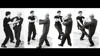 Best Wingchun combat real fighting