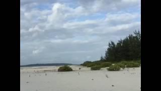 Punta Sebaring, Balabac, Palawan - Philippines