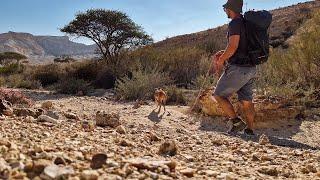 נחל צרור | Solo Hike In The Israeli Desert With My Dog