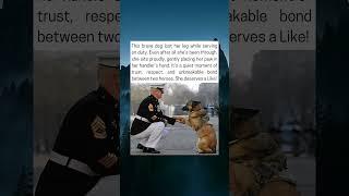 Service Dog Shares Touching Moment With Her Handler