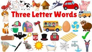 Three Letter Words | 3 letter words Kids Education Video | 3 Letter Words | Learn with examples  