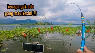 IKAN KOK BEGINI BANYAKNYA⁉️ MALAH GAK ADA YANG BERANI KESINI || mancing ikan nila di  ngantang