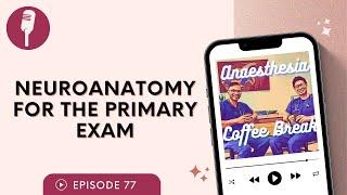 Neuroanatomy for the Primary Exam | #anaesthesiacoffeebreak #physiology #anesthesia