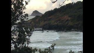 Ocean Ambience - Beach Sounds with Picture of Port Macquarie