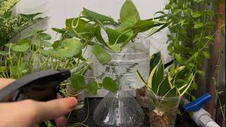 Easy way to make a nice vase to aquatic plant/My little corner help me recharge energy everyday