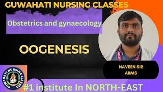 oogenesis || process of oogenesis|| #oogenesis #oogenesisoverview  #norcet8  #norcet7mainsanswerkey