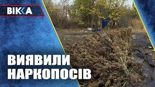 На Черкащині поліцейські виявили наркопосів вартістю близько 3 мільйони гривень