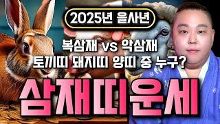 2025년 푸른 뱀의 해 미리보는 삼재띠 운세! 토끼띠 돼지띠 양띠 중 최고의 복삼재는 어떤 띠? 2025년 을사년 복삼재로 들어오는 띠와 나이 / 서울점집 성남점집 대만주