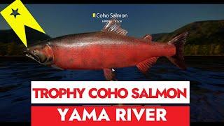 RF4 - RUSSIAN FISHING 4 - TROPHY COHO SALMON - YAMA RIVER