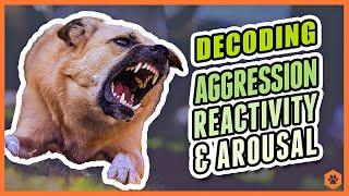 Aggression, Reactivity, and Arousal - Decoding Canine Behavior