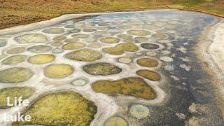 Spotted Lake: the most unique lake I've seen