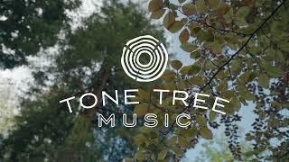 Summer Acoustic Compilation | Tone Tree Music