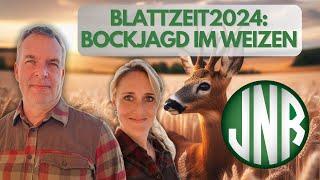 Blattzeit, Schuss im Weizen bei der Bockjagd.