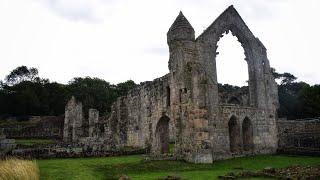 Haughmond Abbey is an amazing ruin to explore - English Heritage - Explore With Shano