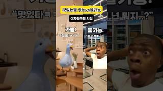 깻잎논쟁 가능vs불가능 ㅠㅠ #고양이밈
