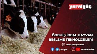 ÖDEMİŞ'TE SÜRDÜRÜLEBİLİR SAĞLIK & SÜREKLİ KARLILIK ÜRÜNLERİ