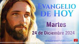 Evangelio de HOY. Mart. 24 de diciembre 2024 Lc 1,67-79 A ti, niño, te llamarán profeta del Altísimo