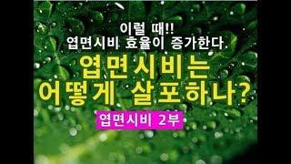 엽면시비는 어떻게 하는게 좋을까? 효과적인 엽면시비 방법/엽면살포시 주의사항은?