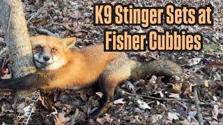 K9 “Stinger” Sets at Fisher Cubbies