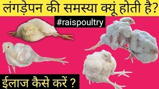 Treatment Of Lameness Problem In Chickens | Lameness In Poultry | How to treat lameness in chickens?