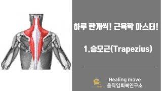 하루한개씩 근육학 마스터하기 #1.승모근