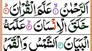 Surah Ar Rahman Full | Surah Rehman Full HD Colour Coded Arabic Text | سورة الرحمن رنگین تجویدی