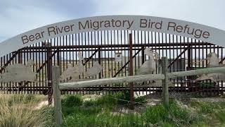 HIGHWAY 20 ROAD TRIP ADVENTURE.  WE STOP AT A BIRD REFUGE.  S and J Excellent Adventures.