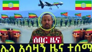 Breaking Ethiopia News NOW! | አሁን በኢትዮጵያ ውሰጥ እየተፈጸመ ያለው መረጃ | ethiopian news today 21 November 2024