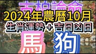 【古柏論命每月運勢+吉日凶日】2024年農曆10月(陽曆11/1 ~ 11/30)生肖運勢分享 -  馬＋狗