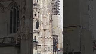 Wien Stephansdom #vienna #austria #wien #österreich #viral #foryou #schweiz #deutschland #mrnobody